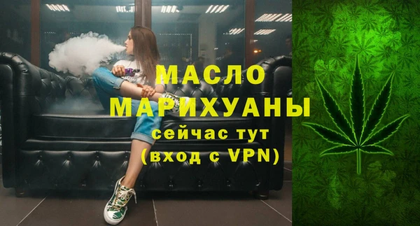 соль ск Кулебаки
