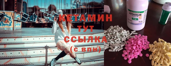 соль ск Кулебаки