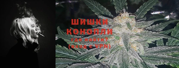 соль ск Кулебаки