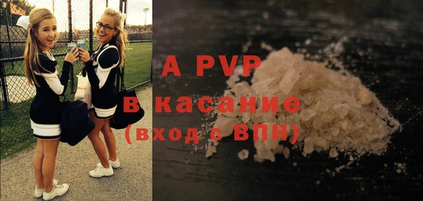 apvp Кукмор