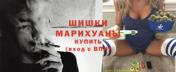 соль ск Кулебаки