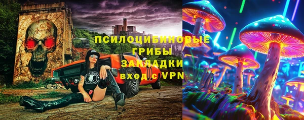 apvp Кукмор